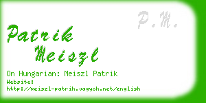 patrik meiszl business card